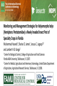 sciforum_046817_manuscript_Haseeb_et_al_IECE_2021.pdf