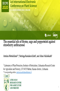 Presentation slides_A.Morkeliune 20201109.pdf