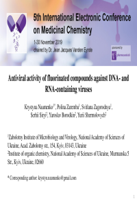 Naumenko_K.pdf