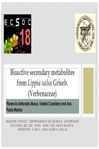 Ecsoc 2014 slides.pdf