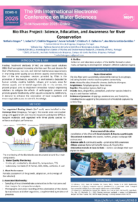 borgesetalECWS-9Sciforum.pdf