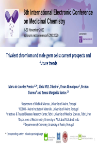 2020-06-03_1.Electronic_Conference_on_Medicinal_Chemistry_PPT_template_file Pereira et al.pdf