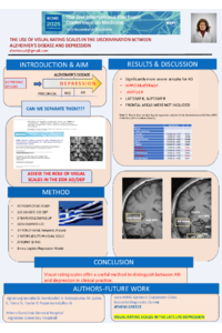 POSTER IECM 2025.pdf