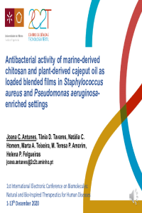 2C2T - 2020.10.20_IECBM2020_JC Antunes_revised.pdf