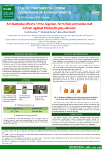 BOUABANE HOURIA IOCBE2024 IOCBE2024.pdf