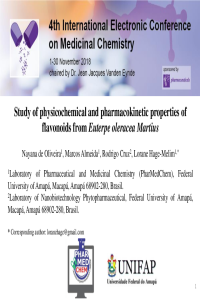 apresentação conferencia - pdf.pdf