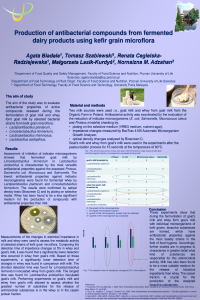 Biadała_poster_konferencjA_ref.pdf