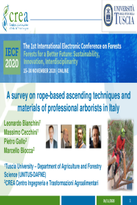 IECF_20_A survey on rope-based ascending techniques and materials of professional arborists in Italy-038247.pdf