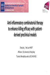 conference.pdf