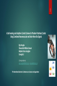 Final Sensors_OnlineConference_MDPI.pdf