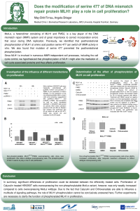 sciforum-042275.pdf