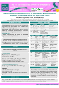 poster 179180.PBarros.pdf