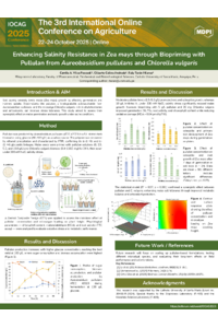Enhancing Salinity Resistance in Zea mays through Biopriming with Pullulan from Aureobasidium pullulans and Chlorella vulgaris (2).pdf