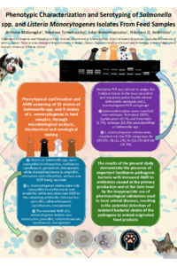 poster1.pdf