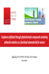 sciforum_046751_slides_Silveri_Filippo_ppt_Chemosensors.pdf