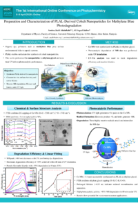 CoNPs-Poster (1).pdf