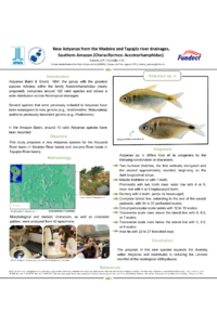 Cópia de Nova espécie de Astyanax .pdf