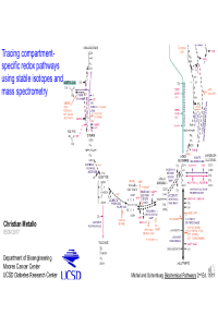 Metallo_IECM_Nov_2017.pdf