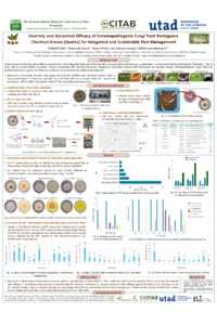 IECPP2026_Poster_Erbiai_IDsciforum-164459.pdf