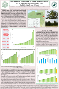 Seed production and its quality on Norway spruce (Picea abies (L.) H. Karst) seed orchard originated from the Białowieża Primeval Forest_poster_corrected.pdf