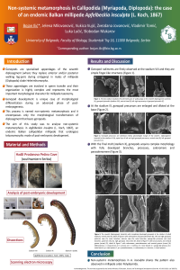 Ilic et al IECE.pdf