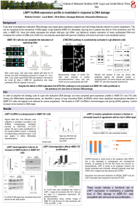 sciforum-041679.pdf