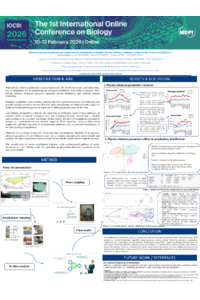 sciforum poster SMIDA Bouthaina.pdf