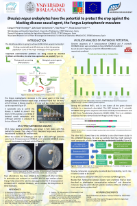 Poster Brassica napus endophytes have the potential to protect the crop against the blackleg disease causal agent, the fungus Leptosphaeria maculans EPA.pdf