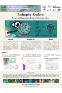 Bioinspire-Explore research poster vf.pdf