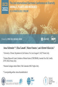 IECD2022_presentation_ASchroeder_[sciforum-055767]-1.pdf