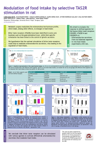 poster_CGrau-Bove.pdf
