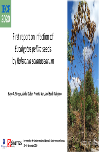 Presentation_IECF_Siregar et al.pdf