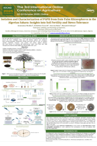 Roumaissa Moulkaf IOCAG 2025 Poster.pdf