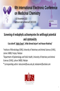 Final Presentation--Ezza.pdf