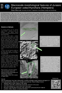 Bieszczad_MDPI_poster.pdf