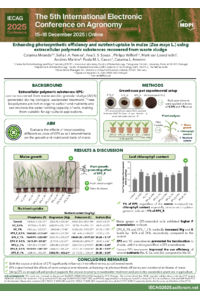 Miranda et al._IECAG 2025.pdf