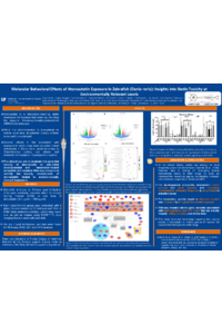 ATORVASTATIN POSTER PHYLLIS for submission.pdf
