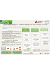 Poster_SC.pdf