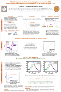 sciforum-035726 -2020_IECB_Babelova.pdf