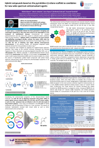 Poster MA 30.10.2020.pdf