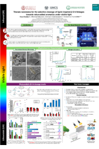 IOCPC2026_Poster_Fivos Florides.pdf