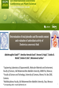 Abdelmoughite Ouakil_Electronic_Conference-PDF.pdf