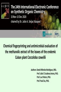 ECSOC24 Presentation Daniel Méndez.pdf