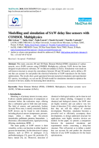 BIOCHEMPHYS workshop-Paper-Bilel ACHOUR.pdf
