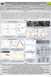 sciforum-099873 - Poster.pdf