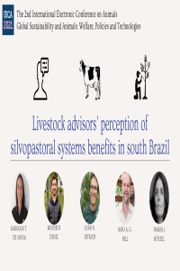 Presentation_KTS.pdf