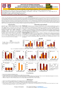 Phyllophaga ssp. damage to jicamas roots during development. Effect on saccharides content.pdf
