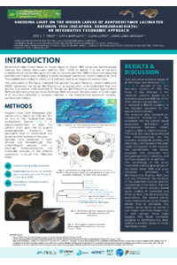 Pires et al_poster_Online Conf on taxonomy.pdf