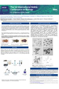 Poster - Fourastié.pdf