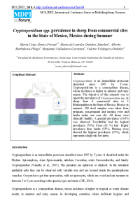 mol2net-04_MOL2NET-2018-ALONSO-FRESAN.pdf